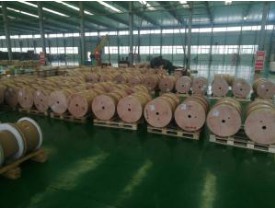 雙玻璃絲包線有哪些特征？